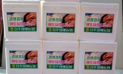 원예농협김장김치.jpg
